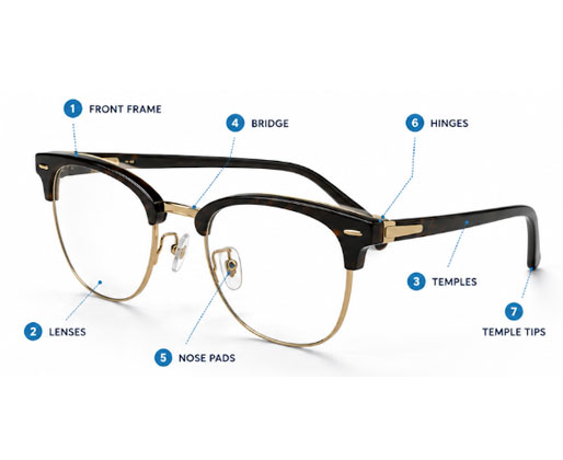 Frame anatomy